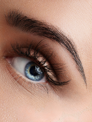 Eyebrow transplant